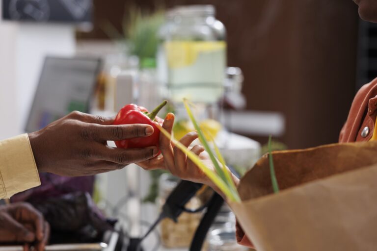 BIOFACH America 2025 The Meeting Point for the Organic Food Sector