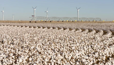 Better Cotton Extends Strategic Partnership with Cotton Australia