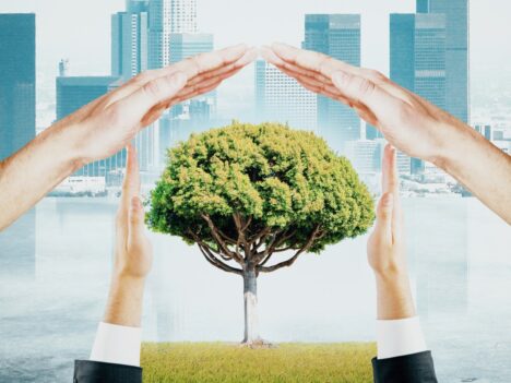 ISO 19011:2026 Revizyonu Yayımlandı: Denetim Yaklaşımında Yeni Dönem