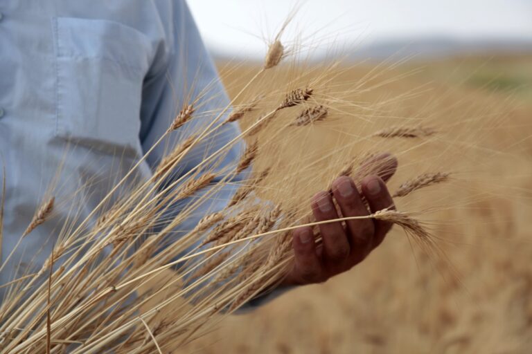 Tarım ve Gıda Politikaları Kurulu Kuruldu