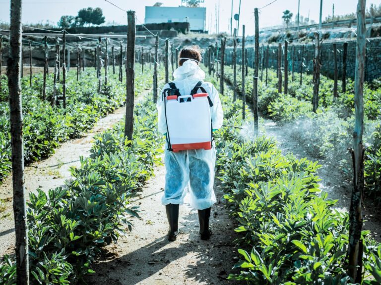 Tarımda Dijital Takip Dönemi Bitki Koruma Ürünlerinde Yeni Yönetmelik Yayımlandı!