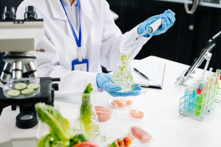 Türk Gıda Kodeksi Mikotoksin Seviyeleriyle İlgili Yeni Tebliğ Yayımlandı